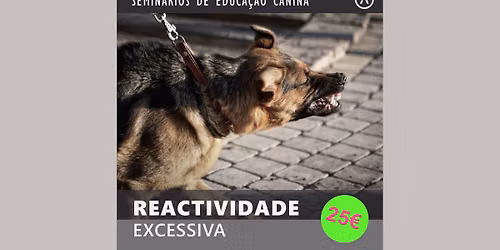 Reactividade excessiva
