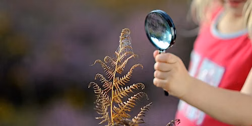 Discover Learn Play: an educators gathering