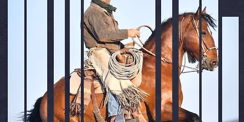 Stage avec Nicolas Pescarollo - Equitation Western