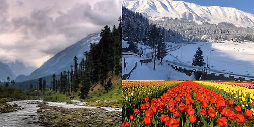 Enchanted Kashmir Escape ( Tulip Festival Special ) 