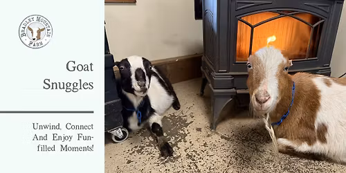 Goat Snuggles