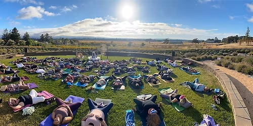 Peak Lavender Bloom  Yoga & Sound Healing