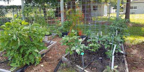 Master Gardener Plant Sale