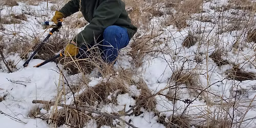 Breen Prairie Workday