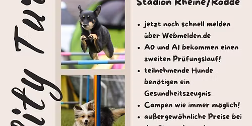 14. RHEINENSER DOG CHALLENGE