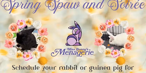 Spring Spaw and Soir\u00e9e 
