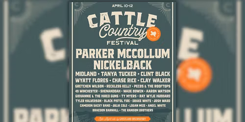 Black Pistol Fire (16+)