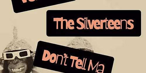 The Silverteens at Gambit Brewing Co.