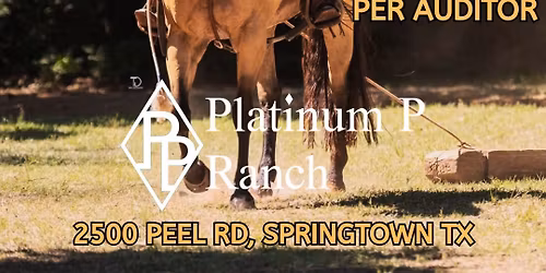 Liz Truax Ranch Trail Clinic