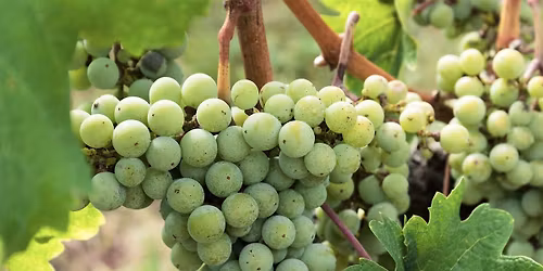 MKG Volunteer Day 4\/25