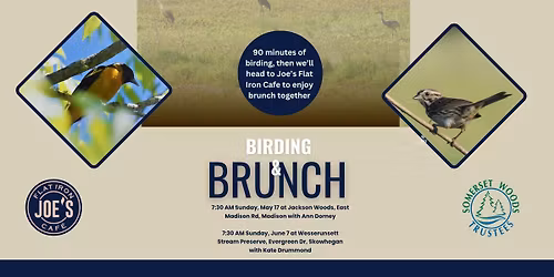 Birding & Brunch