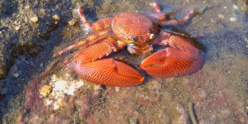 Maritime Walk at Juhu Koliwada