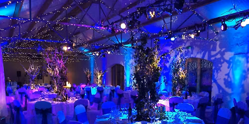 CHRISTMAS PARTY NIGHT