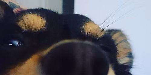 Lord of Life Lutheran Church