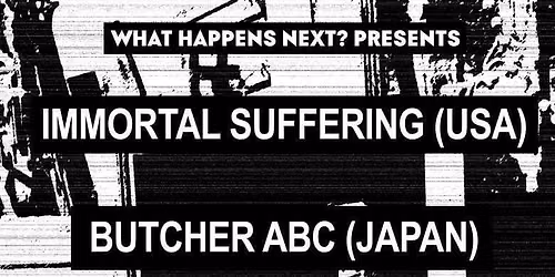 Immortal Suffering \/ Butcher ABC \/ Fecundation \/ Disgracing