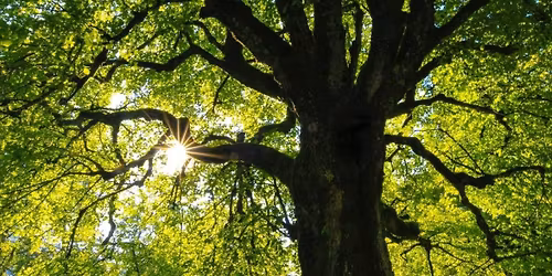 Sacred Sisterhood Self-care Day Retreat 28 June 2026