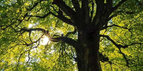 Sacred Sisterhood Self-care Day Retreat 28 June 2026