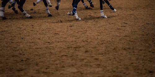 British Horseball Association UK Championships Stage 3