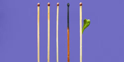 Healing Burnout Through Nature\u2019s Wisdom (In Person)