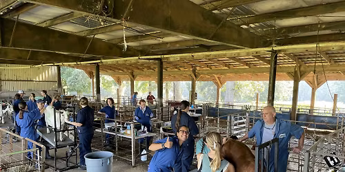 UMO-NC State Goat Artificial Insemination Short Course