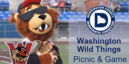 Wild Things Picnic & Game