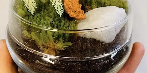 Jurassic Egg Terrarium (Family-friendly)