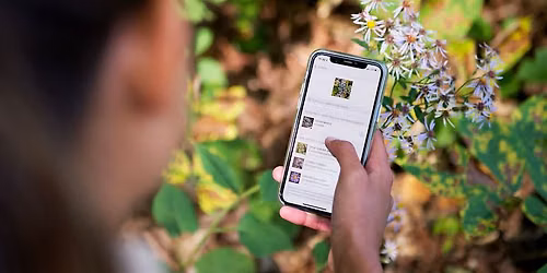 Exploring Nature with iNaturalist - A Beginner\u2019s Course