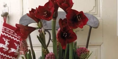 Julpyssel 11\/12 \u2728\nSkapa julst\u00e4mning med oss