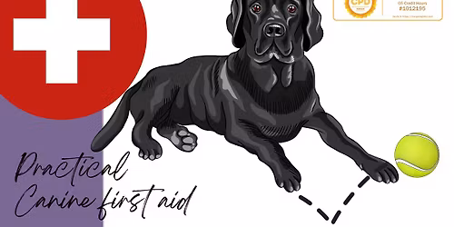 Practical Canine First Aid, Newton-on-the-Isle