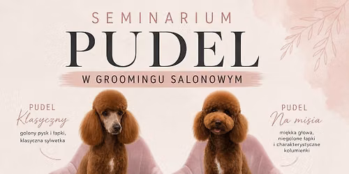 \ud83d\udc29 SEMINARIUM \u2013 PUDEL W GROOMINGU SALONOWYM \u2702\ufe0f