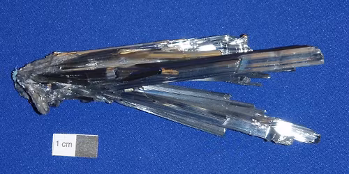 Parking The Ides of March