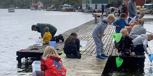 Krabbefiske til R\u00f8v\u00e6r med Barnas Turlag 