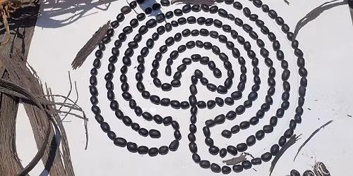 Wellness Workshop: An Afternoon of Therapeutic Horticulture