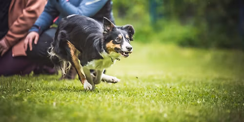 Rozproszenia z lud\u017ami - obedience