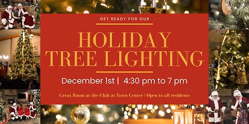 Holiday Tree Lightning 