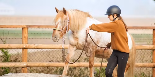 Championnat R\u00e9gional de Mountain trail