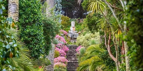 Lessons in WOW! from Southwest England