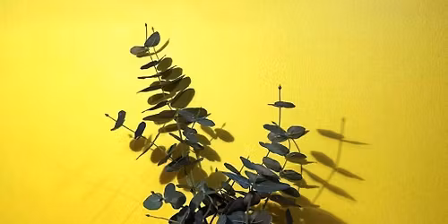 F\u00c5 BILLETTER \/\/ Tryk I Porcel\u00e6n \/\/ K\u00e6lderv\u00e6rkstedet