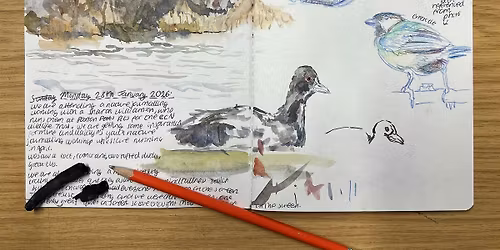 Intro to Nature Journaling for Young People (13-25)