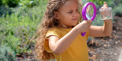 Pontefract pollinators trail