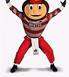 Buckeyes Fall Volunteering