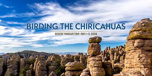 Desert Museum Travel: Birding the Chiricahuas
