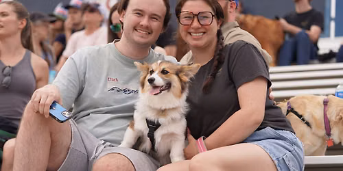 Bark in the Park Night