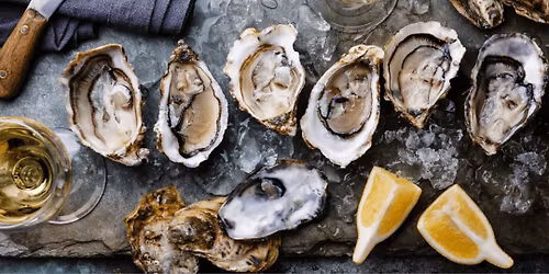 Oysters at the Wine Bar