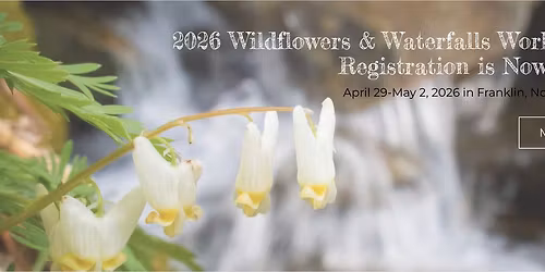 Wildflowers & Waterfalls Spring Photo Workshop