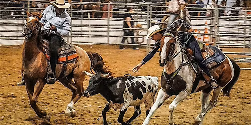 Backyard Rodeo