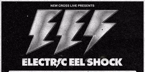 Electric Eel Shock | Brighton