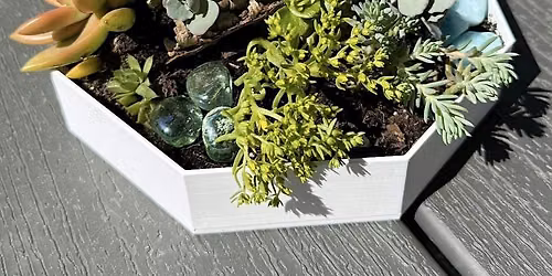 Succulent Garden at Elicit Brewing Co. Fairfield