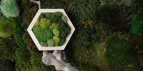 Mini Moss Wall Art Workshop