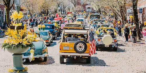 The 50th Nantucket Daffodil Festival April 23-26, 2026